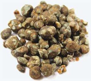  magic truffles 
